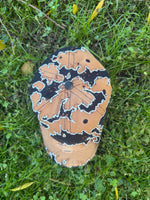 Load image into Gallery viewer, BBWP #9
